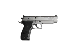 Sig Sauer P226